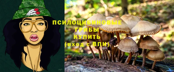 марихуана Абаза