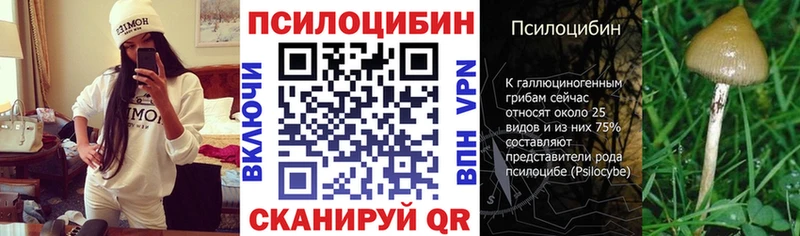 Псилоцибиновые грибы Psilocybine cubensis  как найти закладки  Слюдянка 